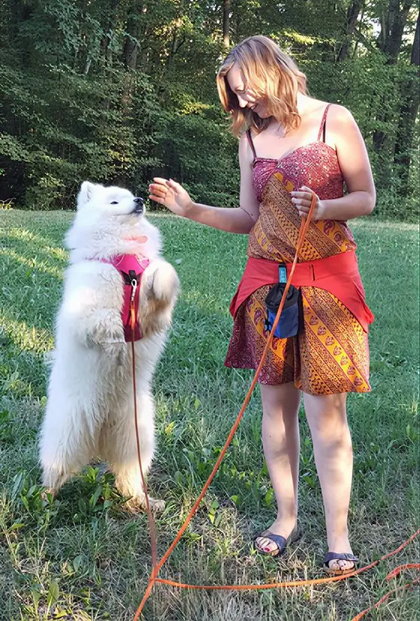 Sandrine en séance d'éducation avec un chien.
